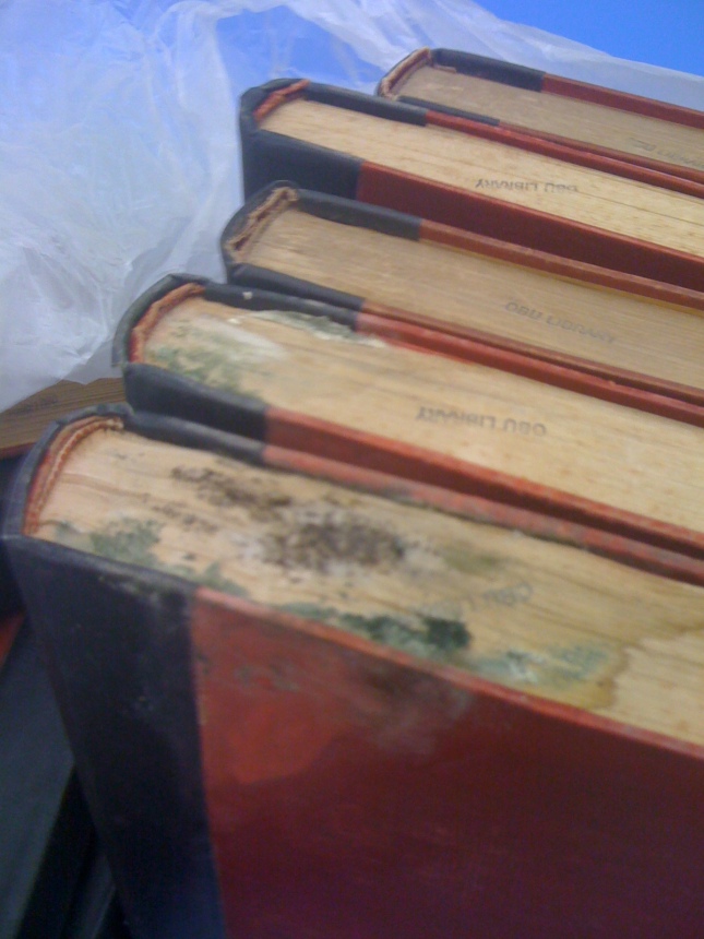 Book mold